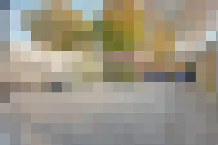 De Fazant 70 Almelo thumbnail 26