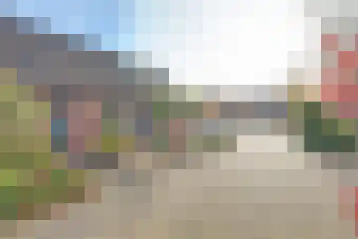 De Fazant 70 Almelo thumbnail 29