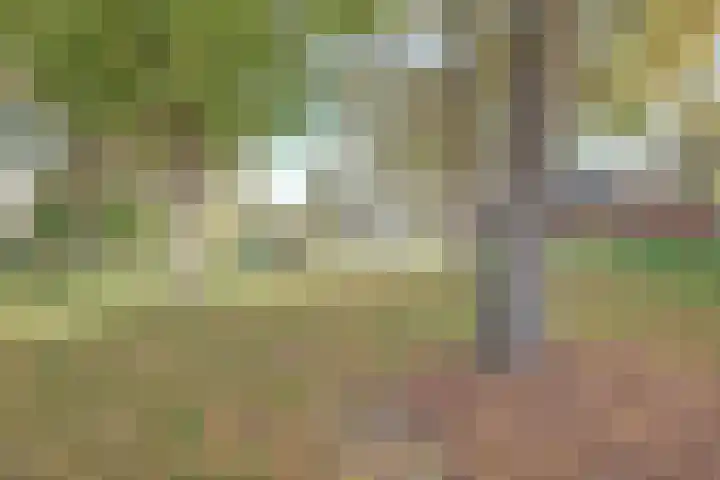 De Fazant 70 Almelo thumbnail 30