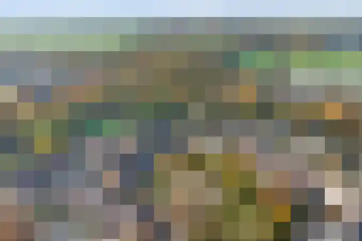De Fazant 70 Almelo thumbnail 32