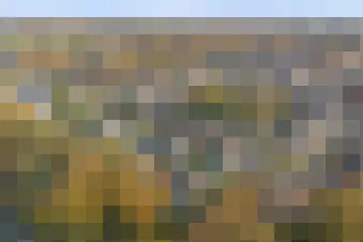 De Fazant 70 Almelo thumbnail 33