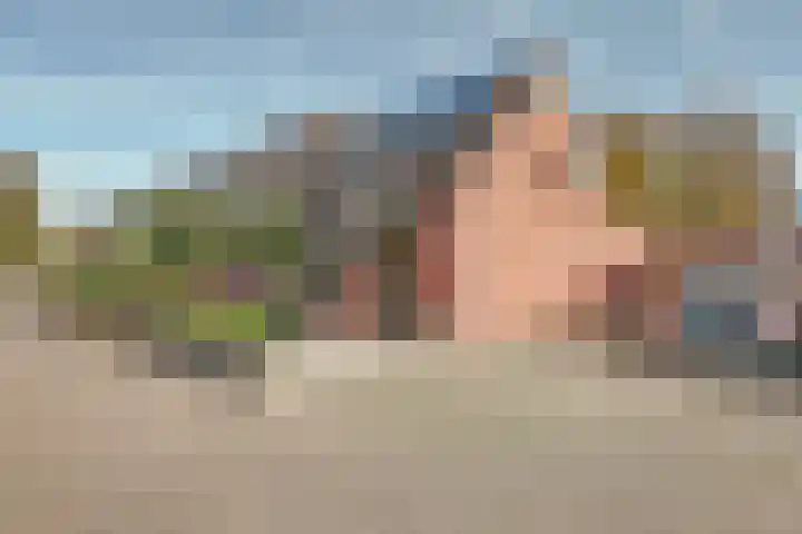 De Fazant 70 Almelo thumbnail 4