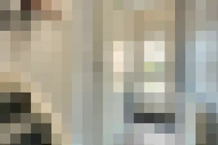 De Fazant 70 Almelo thumbnail 5