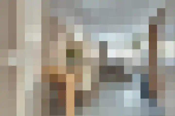 De Fazant 70 Almelo thumbnail 9