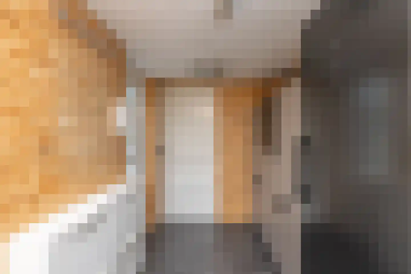 De Fazant 71 Hoogeveen thumbnail 17