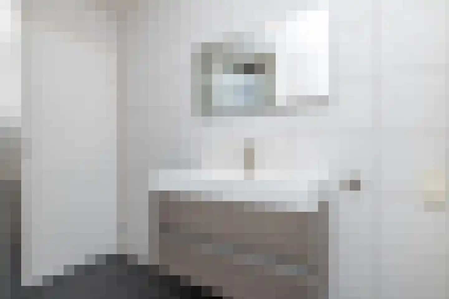 De Fazant 71 Hoogeveen thumbnail 32