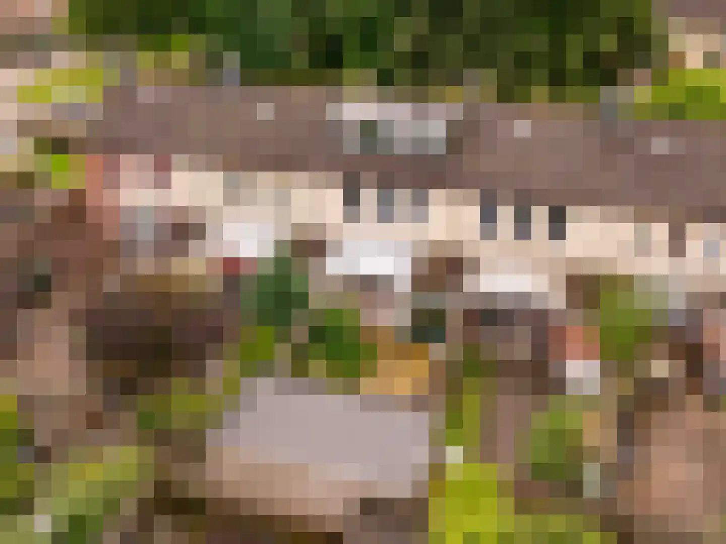 De Fazant 71 Hoogeveen thumbnail 39