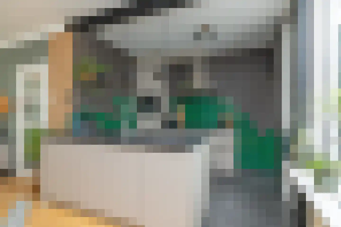 De Fazant 71 Hoogeveen thumbnail 4