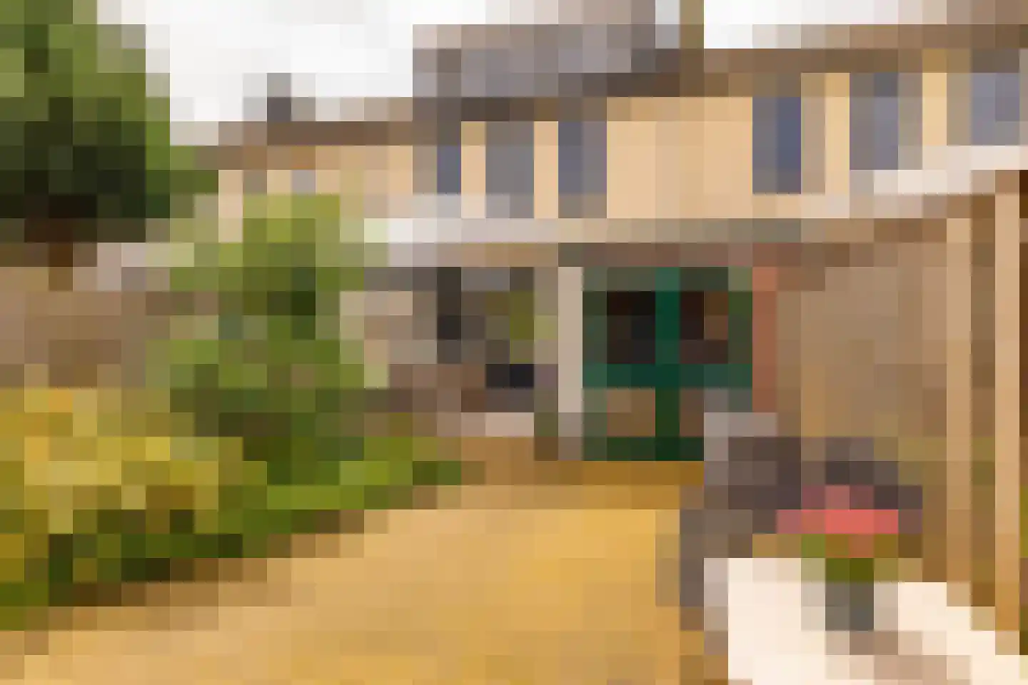 De Fazant 71 Hoogeveen thumbnail 40