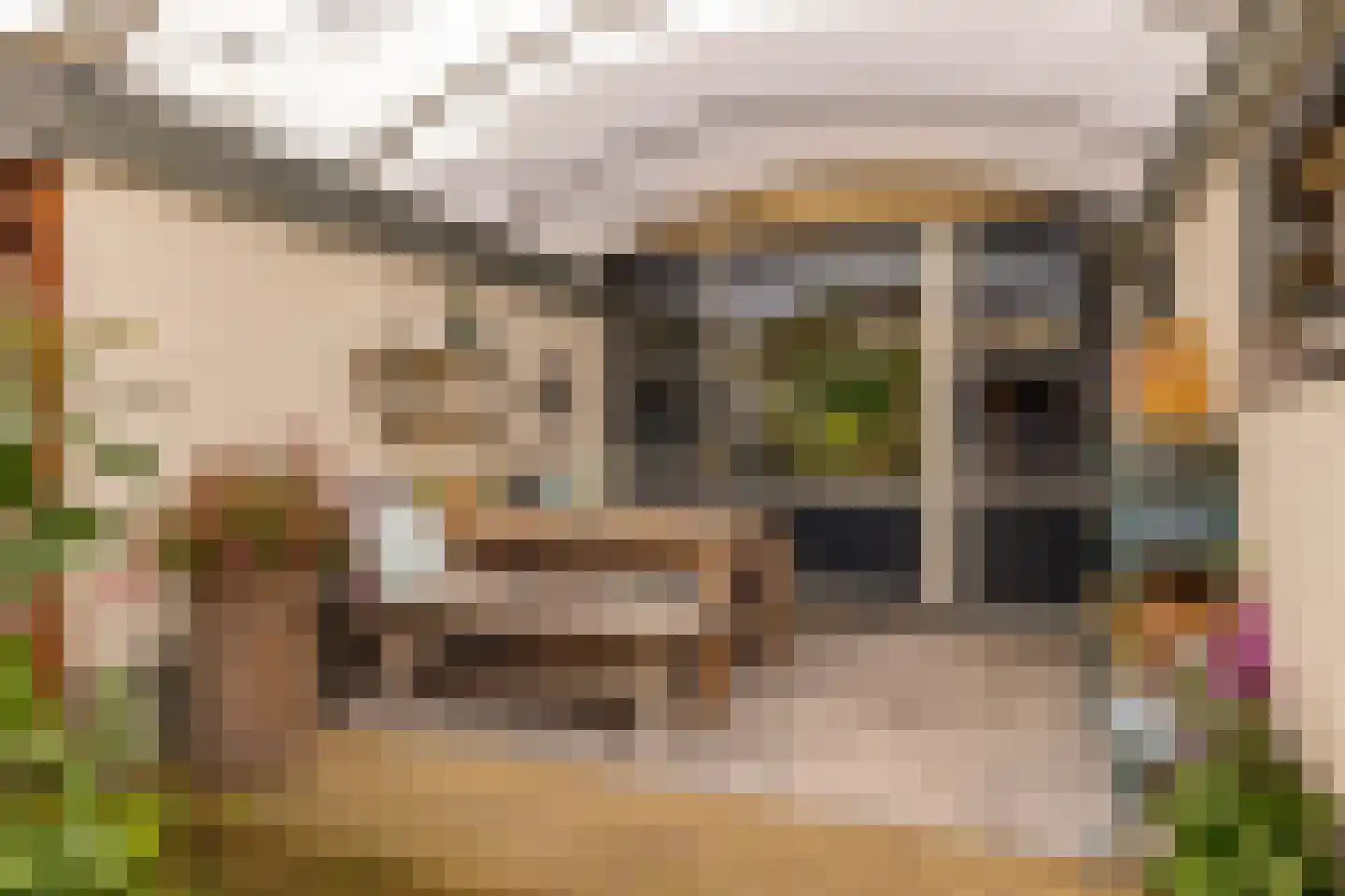 De Fazant 71 Hoogeveen thumbnail 42