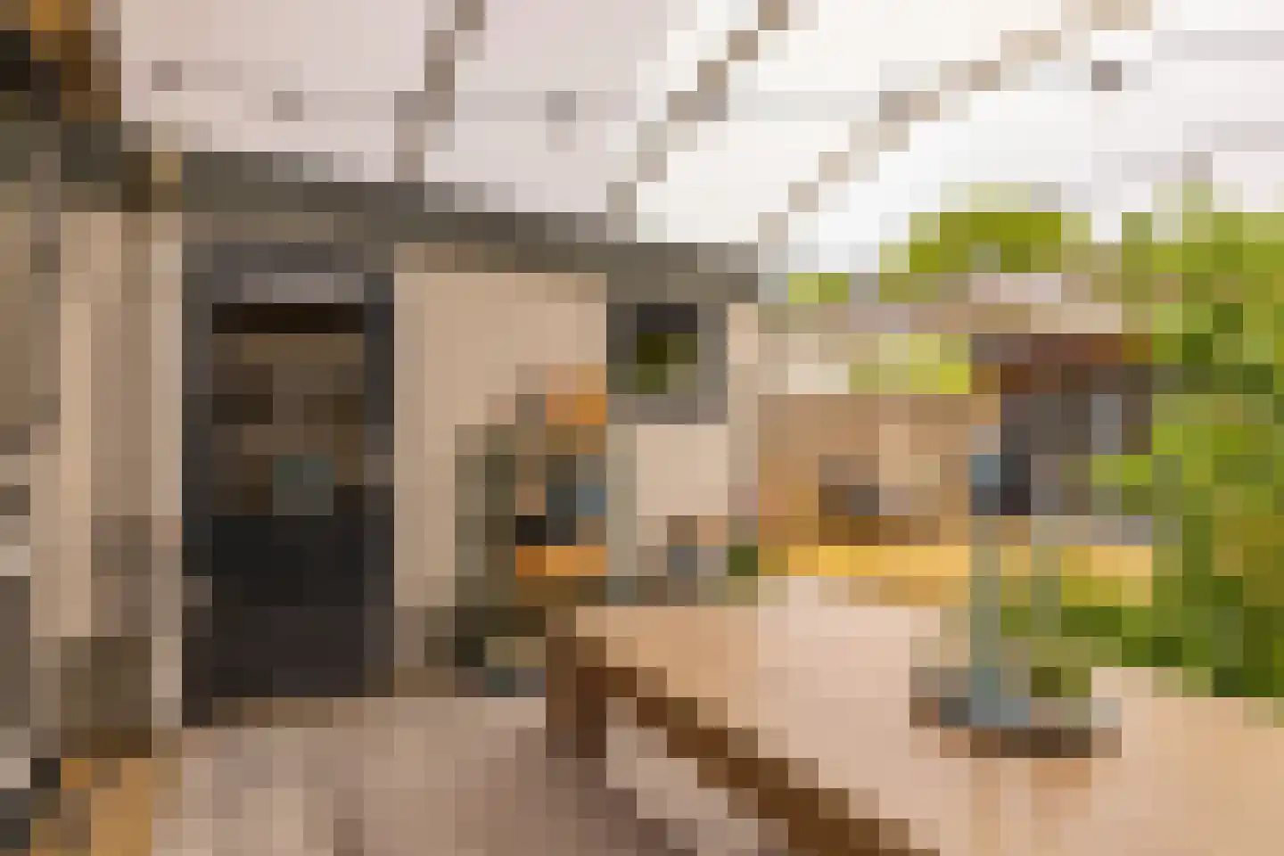 De Fazant 71 Hoogeveen thumbnail 43