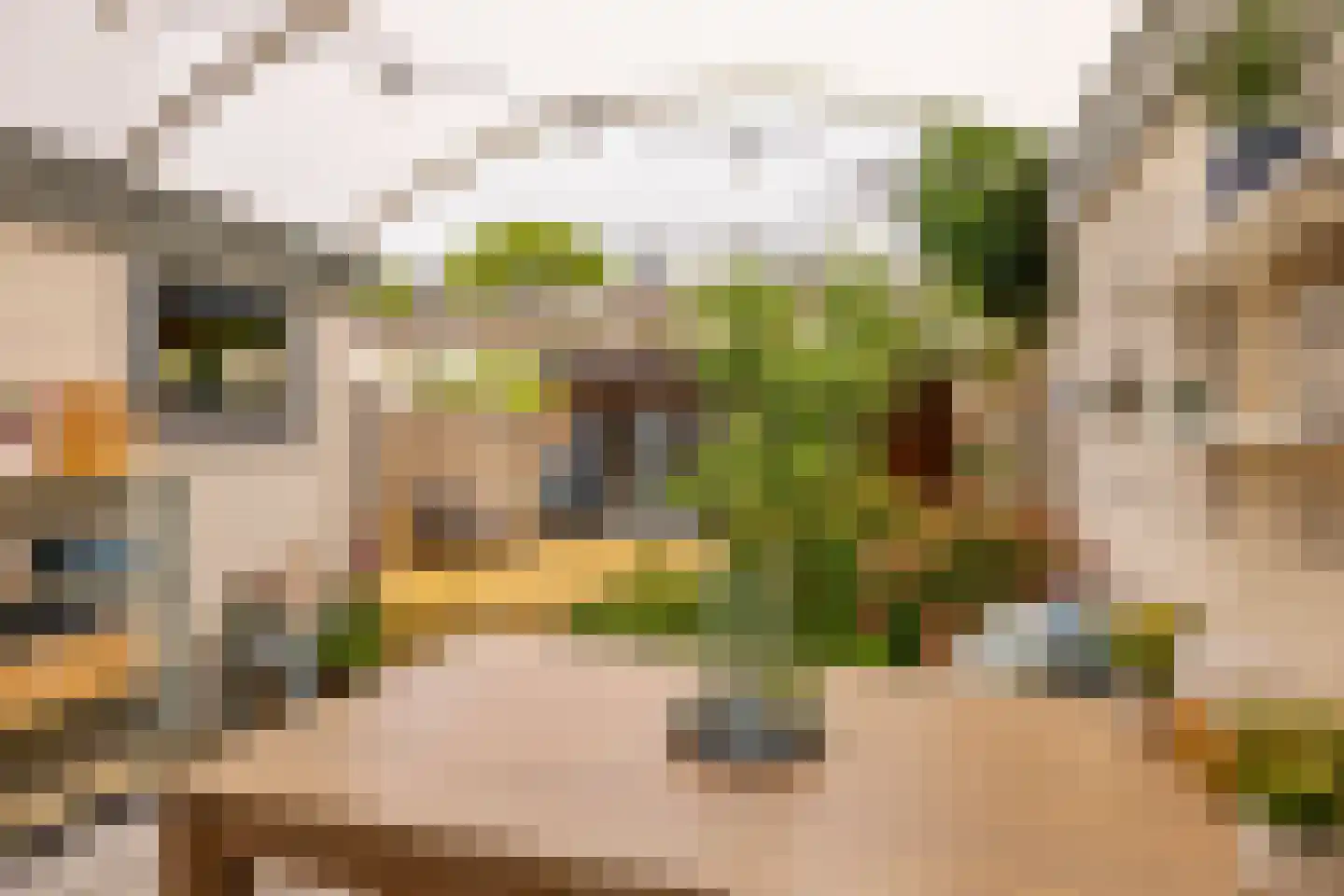 De Fazant 71 Hoogeveen thumbnail 44