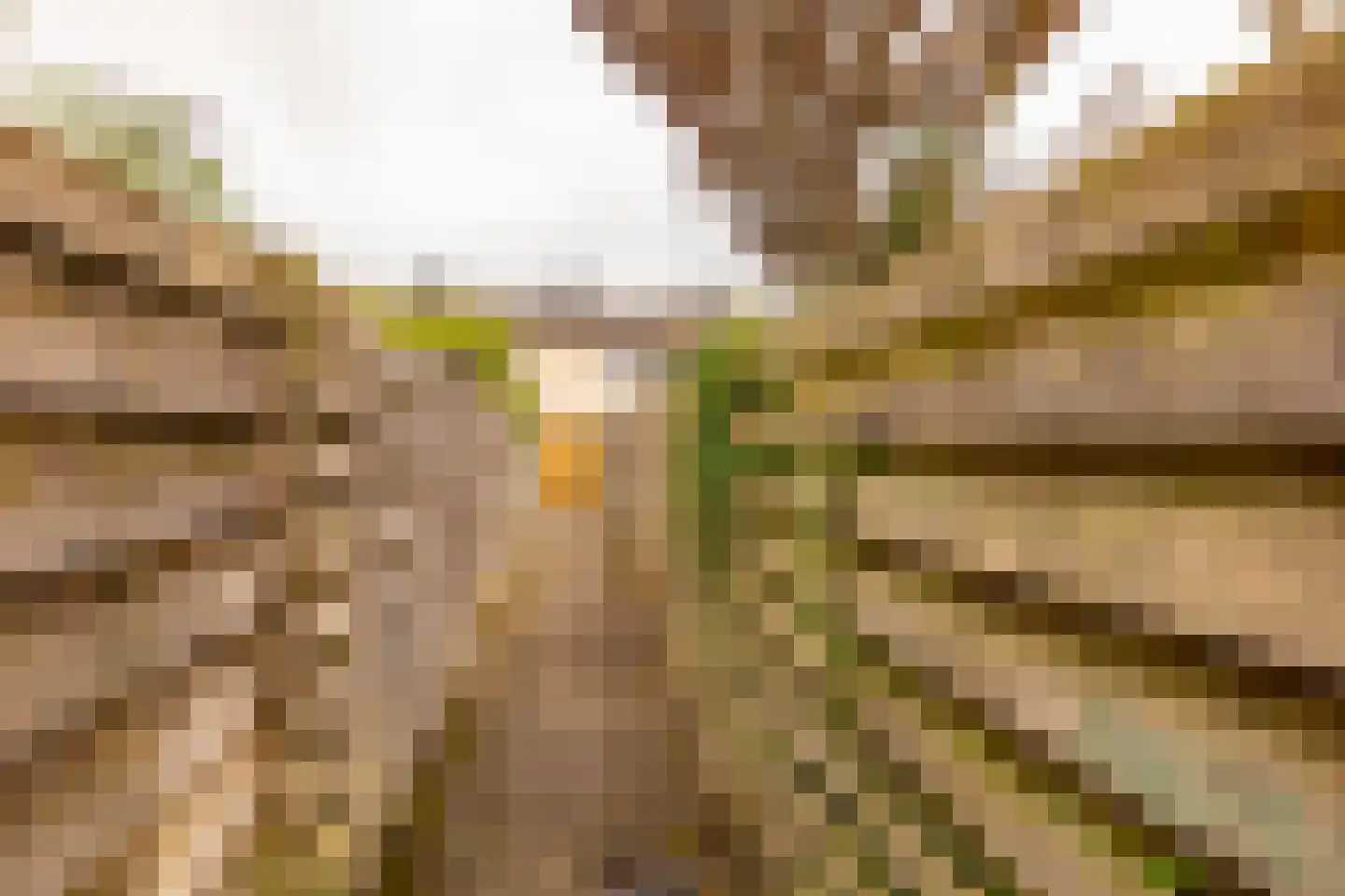 De Fazant 71 Hoogeveen thumbnail 47
