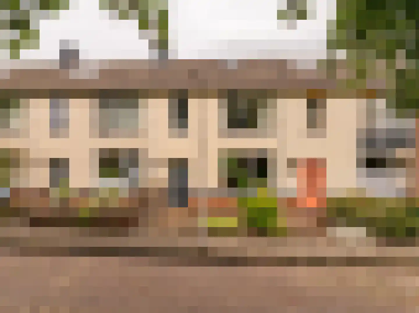 De Fazant 71 Hoogeveen thumbnail 5