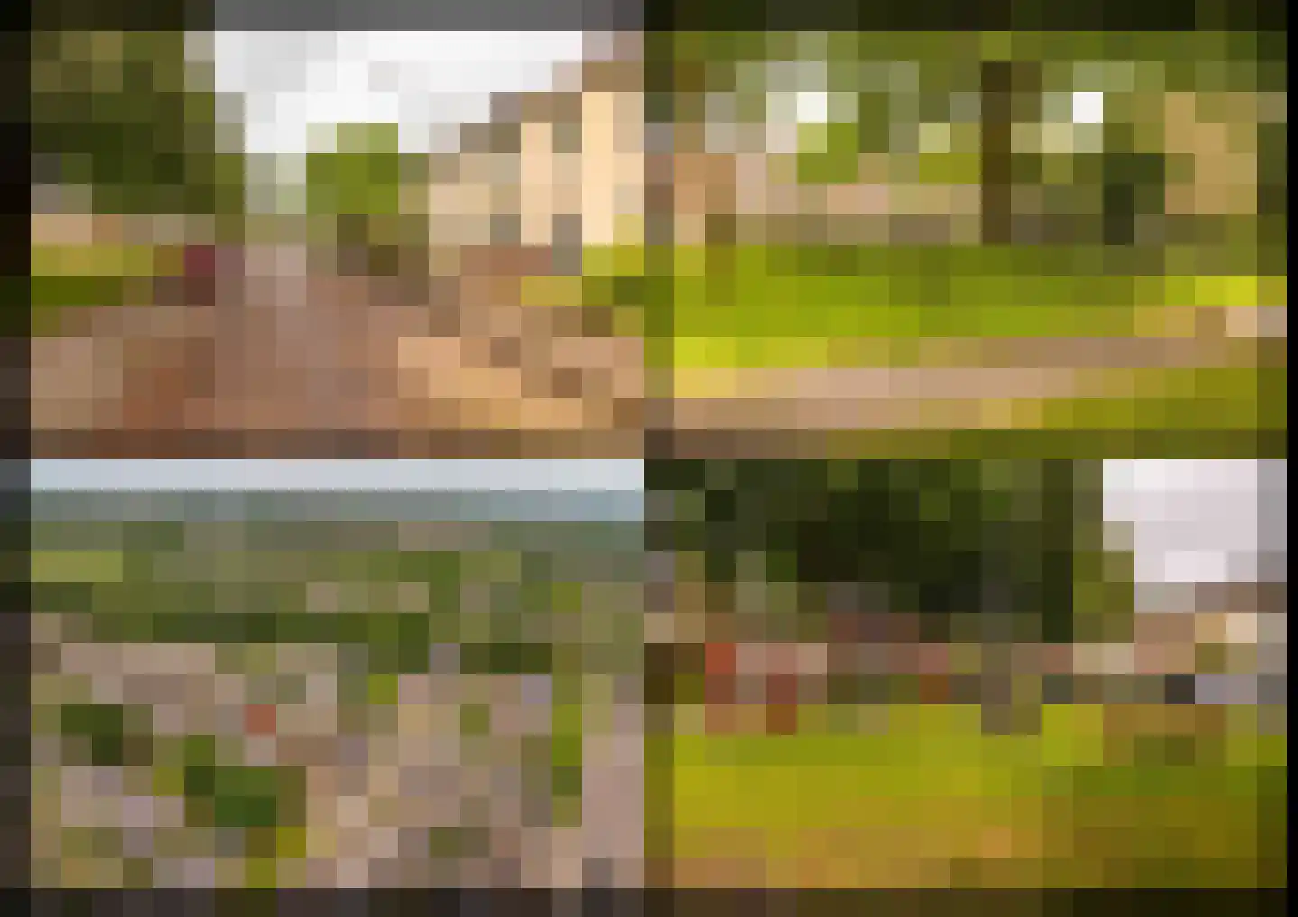 De Fazant 71 Hoogeveen thumbnail 51