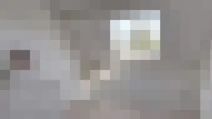 De Fazant 88 Almelo thumbnail 21