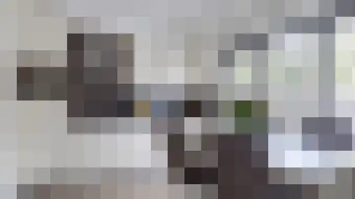 De Fazant 88 Almelo thumbnail 6