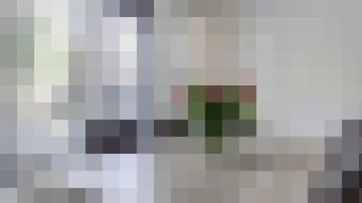 De Fazant 88 Almelo thumbnail 7