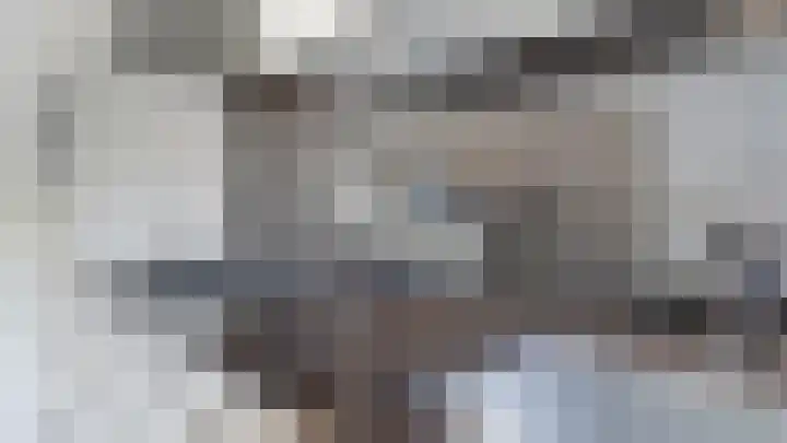De Fazant 88 Almelo thumbnail 8