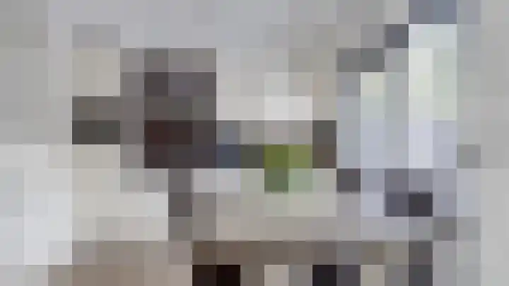 De Fazant 88 Almelo thumbnail 9