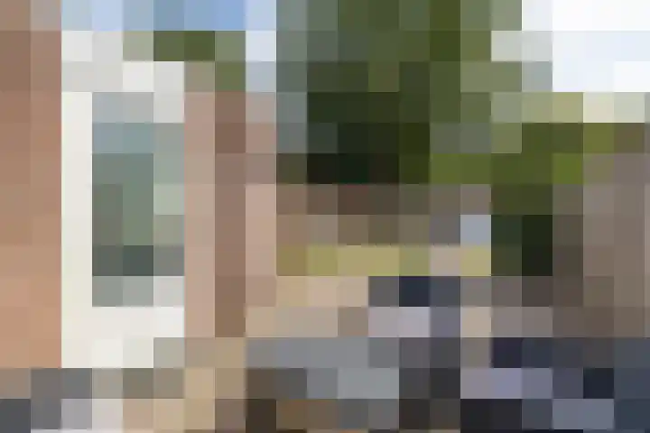 De Fazant 97 Almelo thumbnail 23