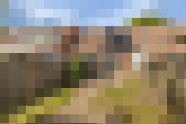 De Fazant 97 Almelo thumbnail 24