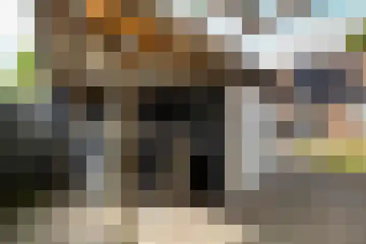 De Fazant 97 Almelo thumbnail 25