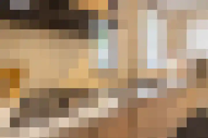 De Fazant 97 Almelo thumbnail 8