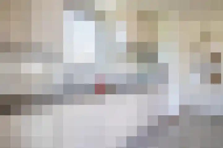De Feart 19 Drachtstercompagnie thumbnail 18