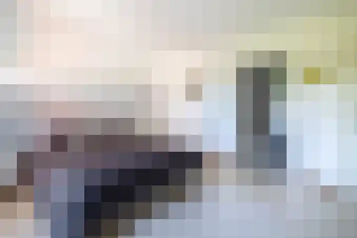 De Feart 19 Drachtstercompagnie thumbnail 20