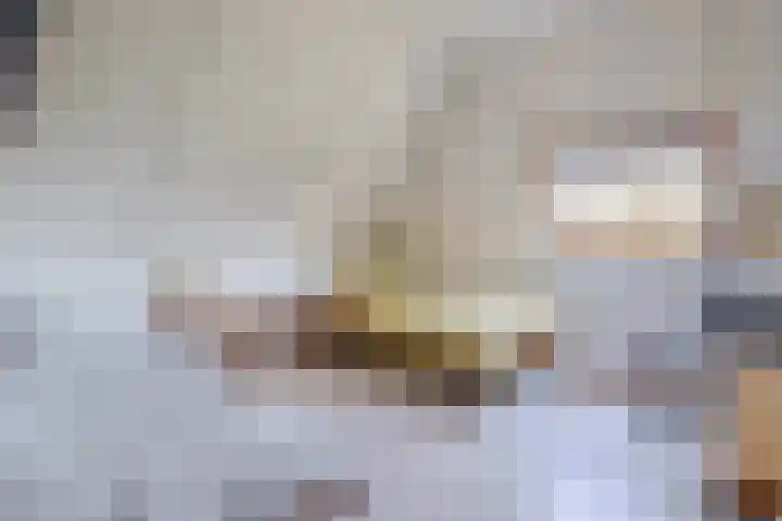 De Feart 19 Drachtstercompagnie thumbnail 27
