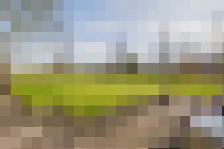 De Feart 19 Drachtstercompagnie thumbnail 33