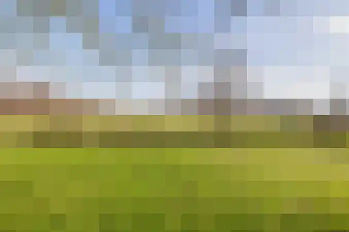 De Feart 19 Drachtstercompagnie thumbnail 36