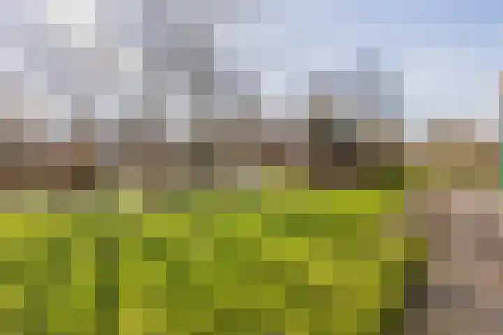 De Feart 19 Drachtstercompagnie thumbnail 37