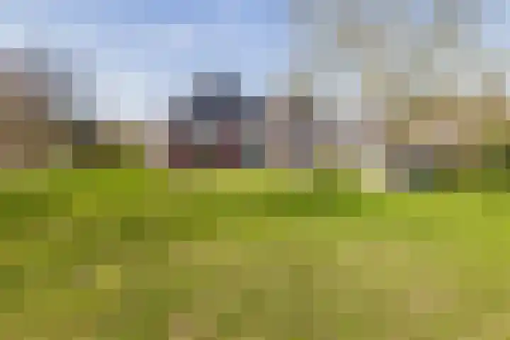De Feart 19 Drachtstercompagnie thumbnail 38