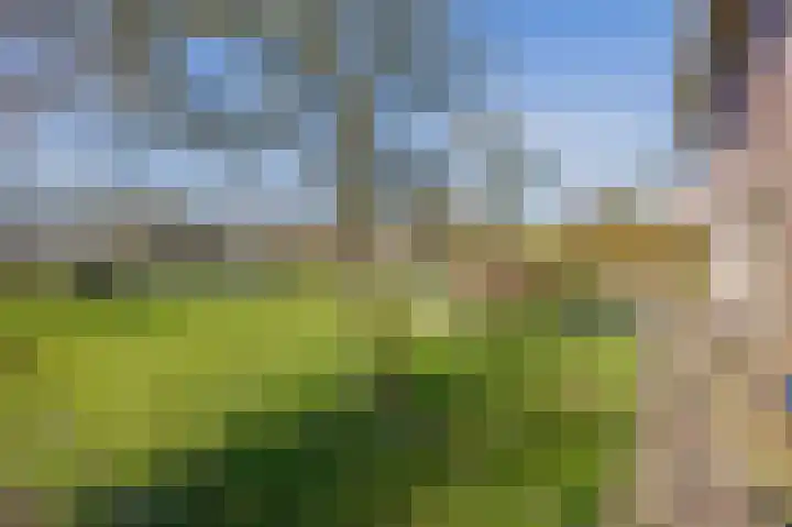 De Feart 19 Drachtstercompagnie thumbnail 40