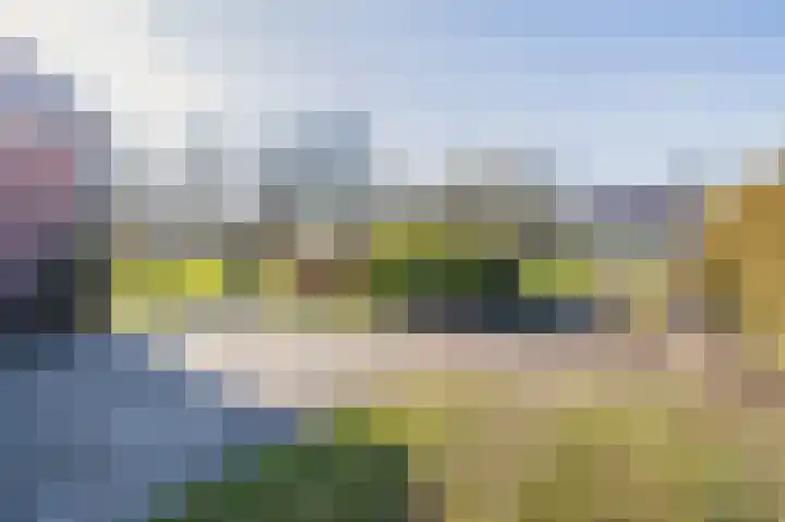 De Feart 19 Drachtstercompagnie thumbnail 46