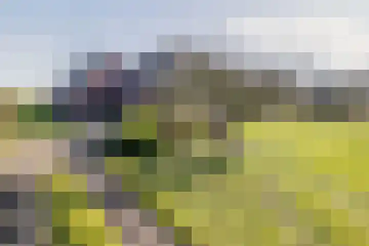 De Feart 19 Drachtstercompagnie thumbnail 5