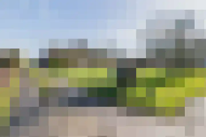 De Feart 19 Drachtstercompagnie thumbnail 54