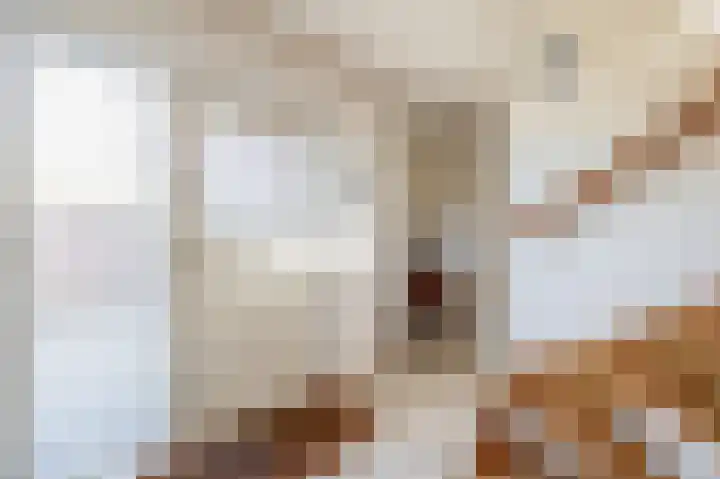 De Feart 19 Drachtstercompagnie thumbnail 6