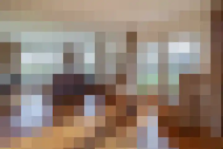 De Feart 19 Drachtstercompagnie thumbnail 9
