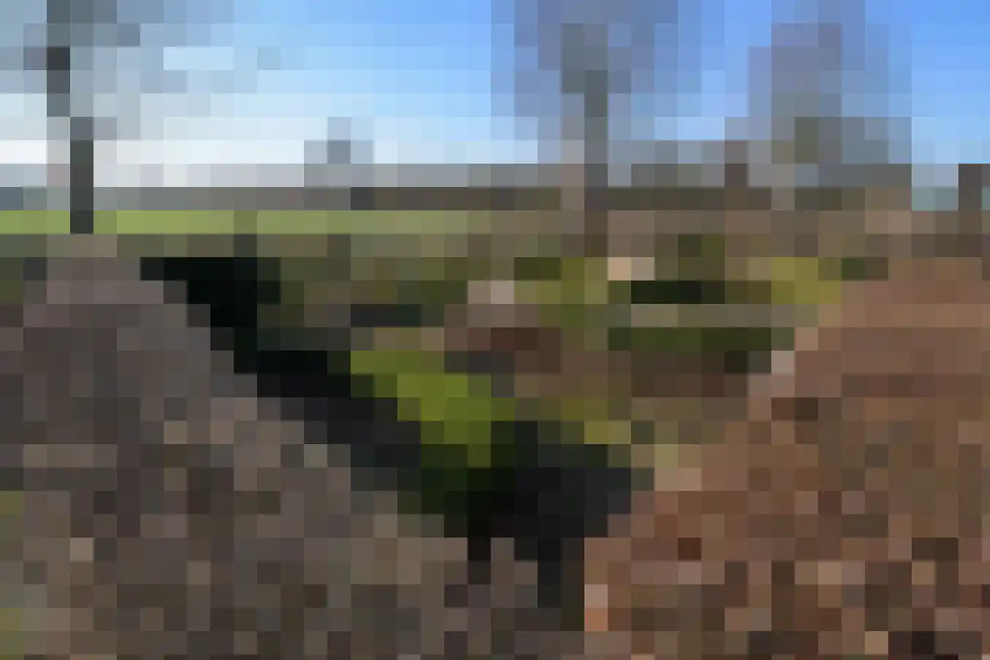 De Feart 34 Drachtstercompagnie thumbnail 65