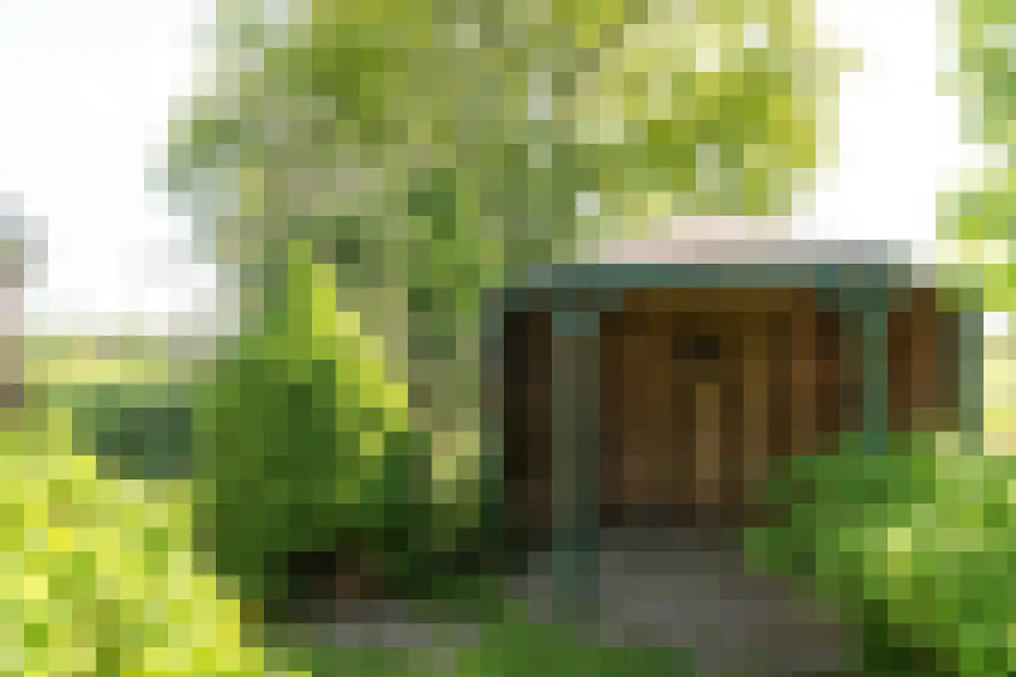 De Feart 37 Drachtstercompagnie thumbnail 11