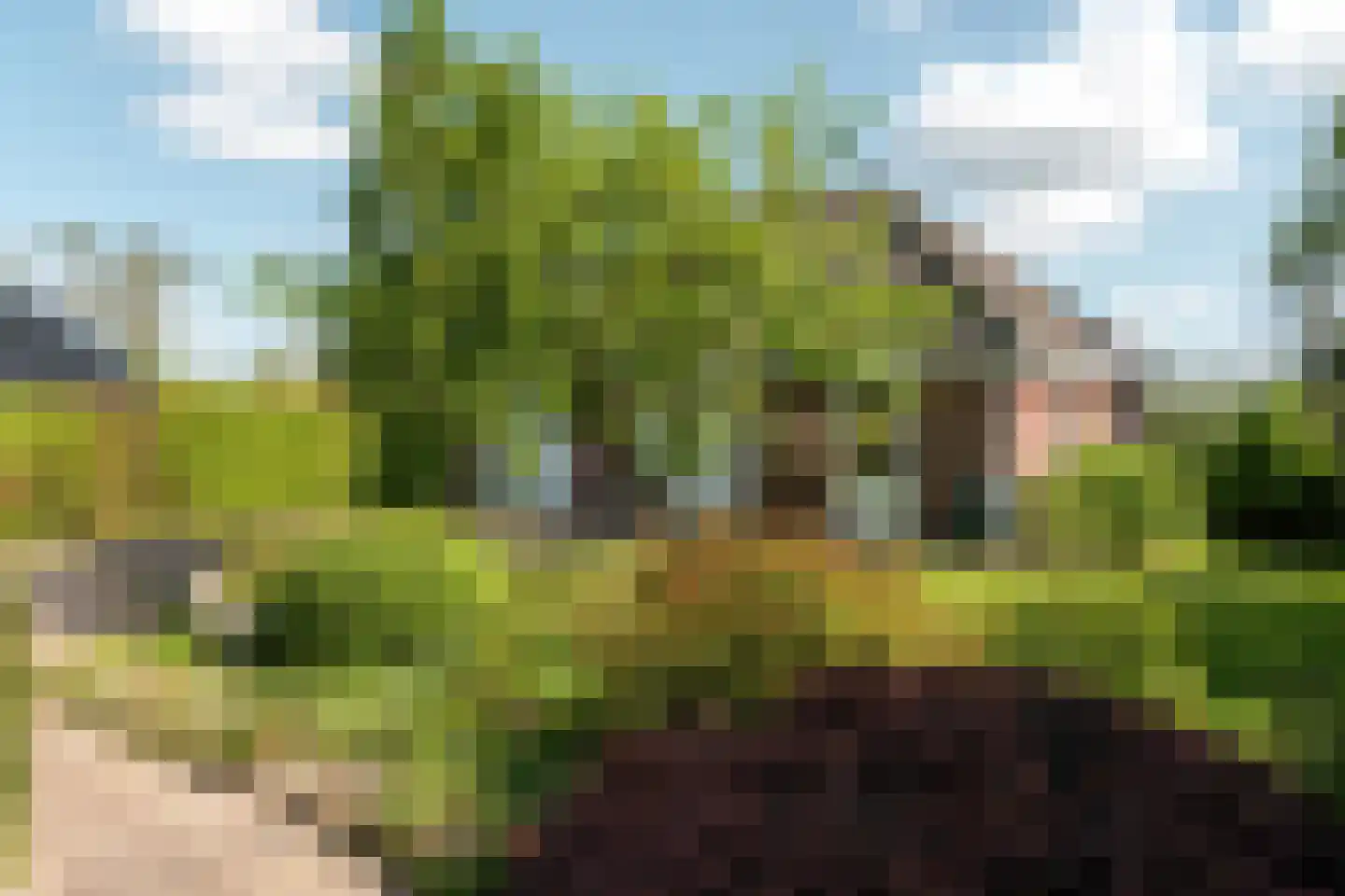 De Feart 37 Drachtstercompagnie thumbnail 14