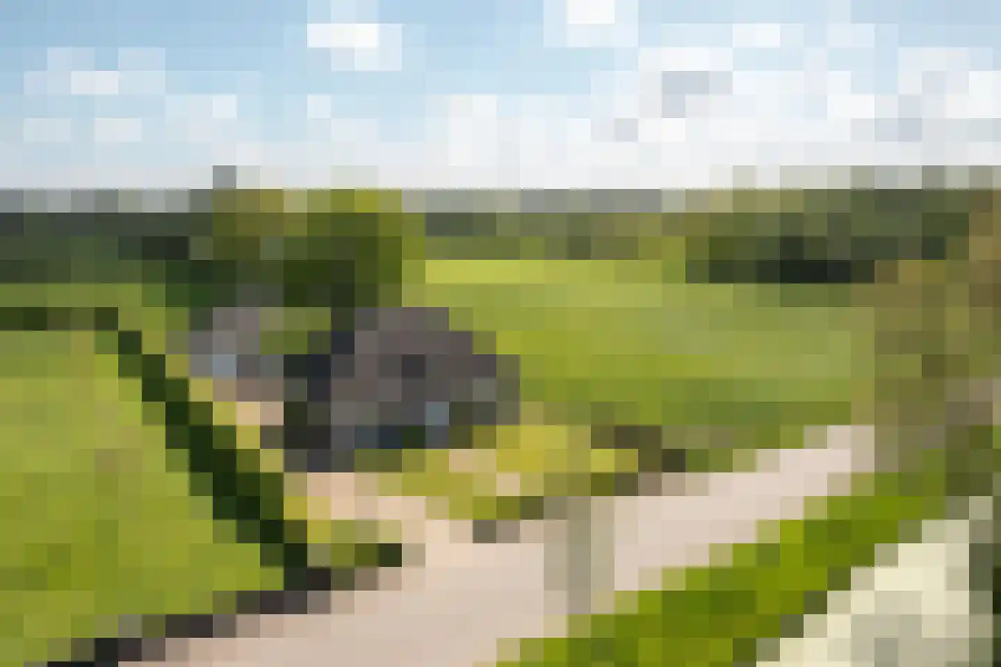 De Feart 37 Drachtstercompagnie thumbnail 18