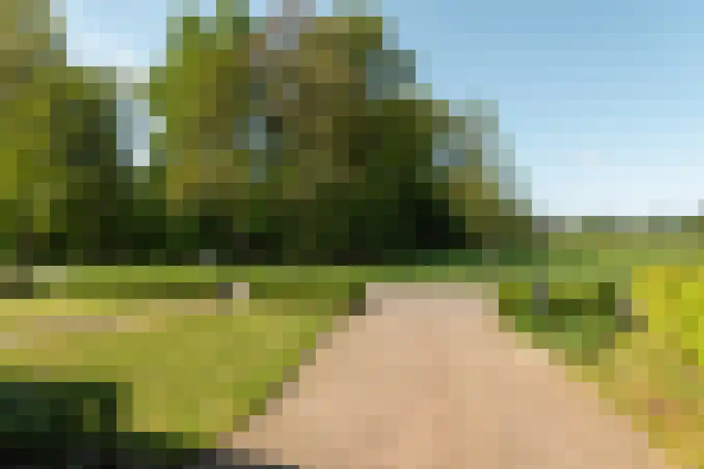 De Feart 37 Drachtstercompagnie thumbnail 23
