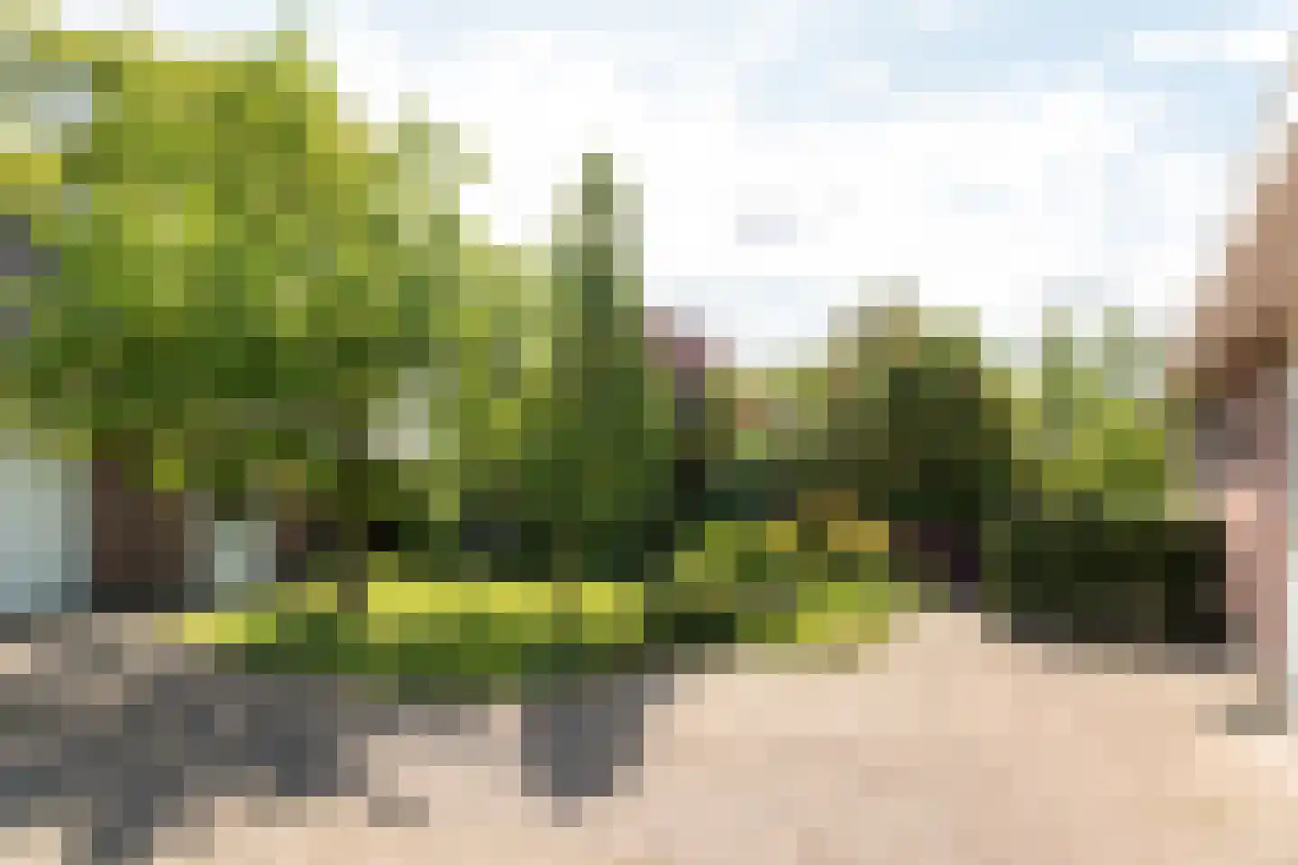 De Feart 37 Drachtstercompagnie thumbnail 6