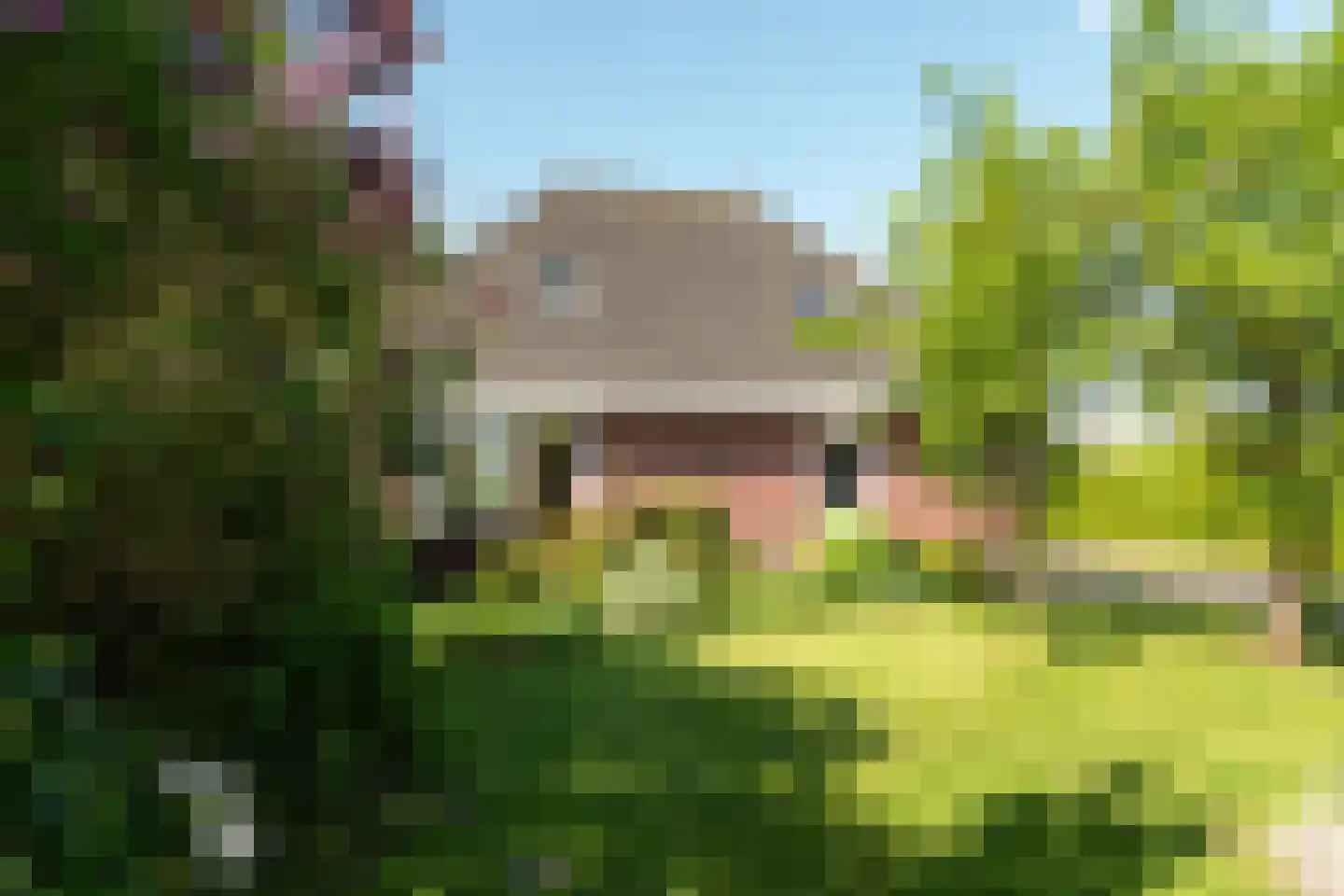 De Feart 37 Drachtstercompagnie thumbnail 9
