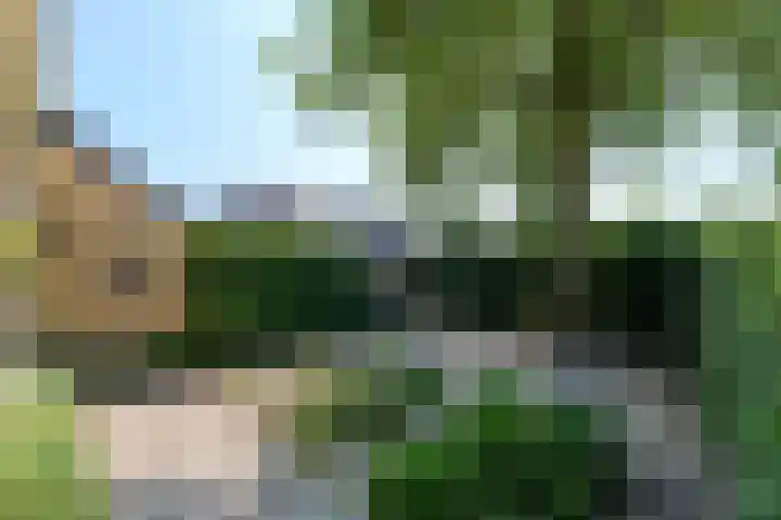 De Feart 51 Drachtstercompagnie thumbnail 110