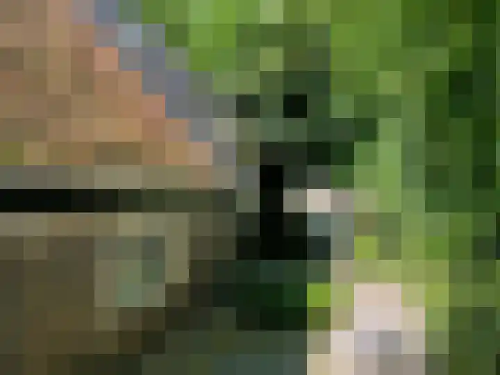 De Feart 51 Drachtstercompagnie thumbnail 111